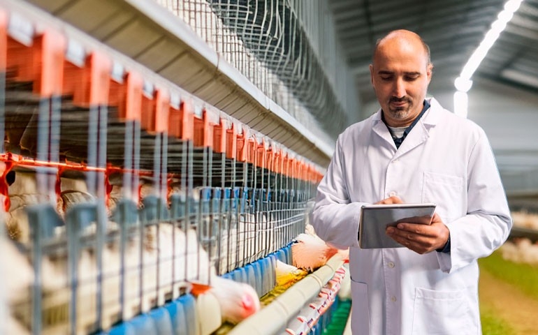 Vence no próximo dia 12 de janeiro o prazo para submissão de trabalhos científicos no Congresso da APA 2026