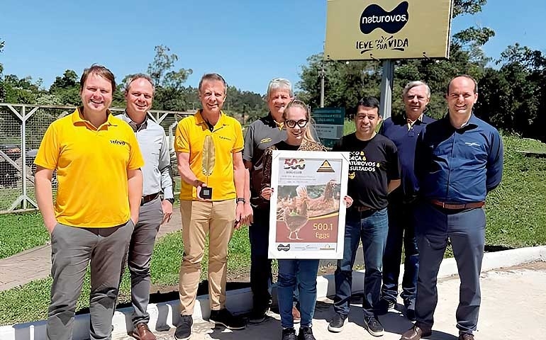 Ave Bovans Brown, da Hendrix Genetics, conquista no Brasil recorde mundial com 500 ovos em um único ciclo de 100 semanas