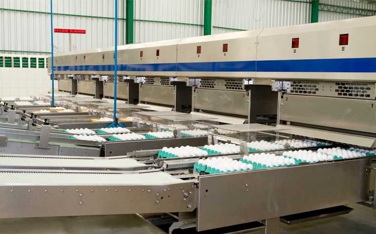 Avine projeta faturamento de R$460 milhões em 2026 com foco em inovação e expansão produtiva