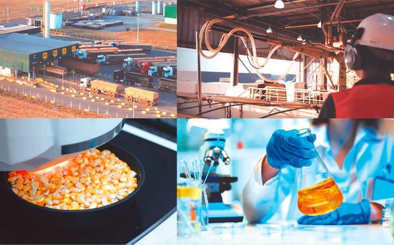 Como a FS controla cada etapa de produção do FS Essencial para entregar consistência na nutrição de aves de postura