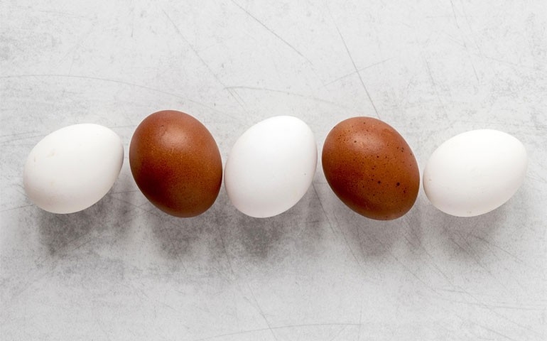 Há diferença nutricional entre ovos brancos e marrons? Dia Mundial do Ovo ajuda a esclarecer essa e outras dúvidas