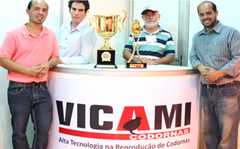 Vicami produz codornas campeãs em qualidade de ovos