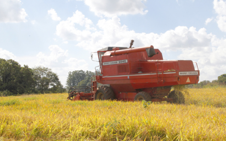 Falta de investimento reduz expansão agrícola, diz pesquisa