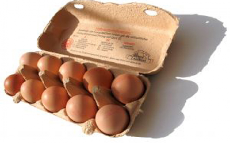 Cepea vai elaborar indicadores de preços diários para o ovo
