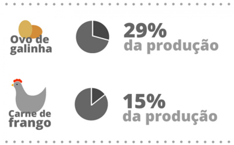 Um novo tempo para o agronegócio paulista