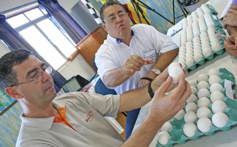 Concurso de Qualidade de Ovos desafia seus próprios objetivos em 2012