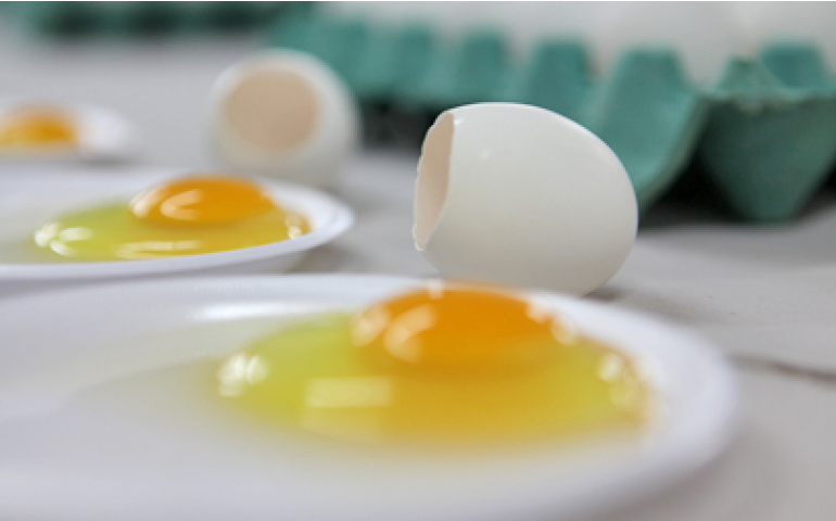 Consumidores exigentes, ovos de qualidade