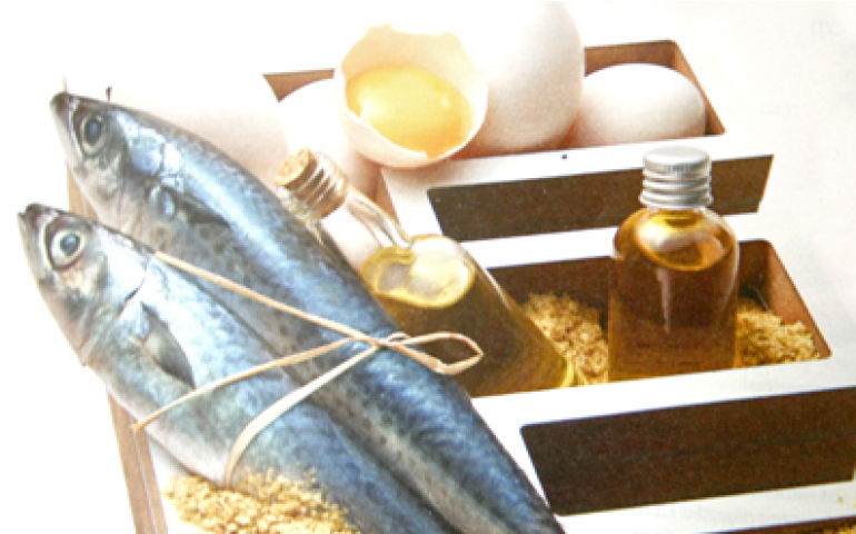 A Vitamina E do ovo pode auxiliar na prevenção do câncer 