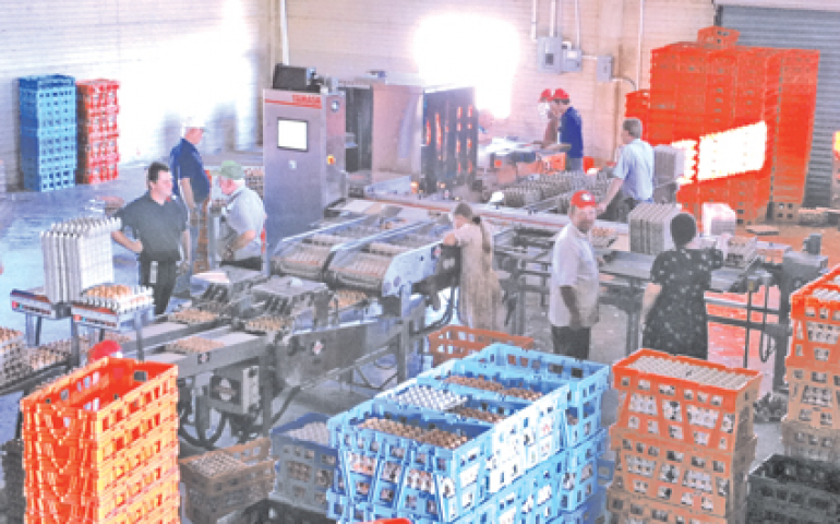 Yamasa chega a importantes mercados avícolas do mundo