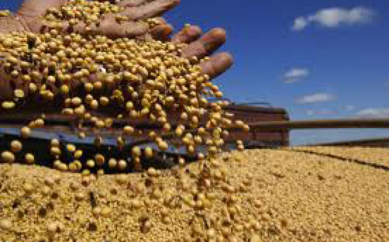 Brasil, maior produtor de soja?