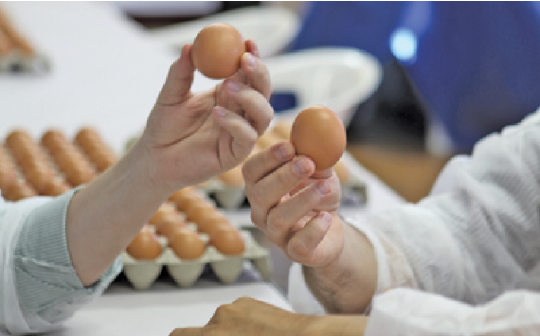 A qualidade deve estar presente da granja ao consumidor