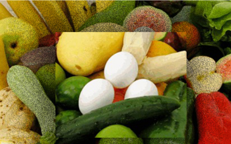 Segurança nutricional: a lição completa