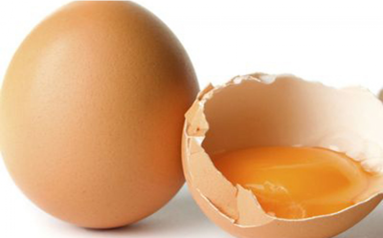 Ovo: aproveite bem essa delícia!