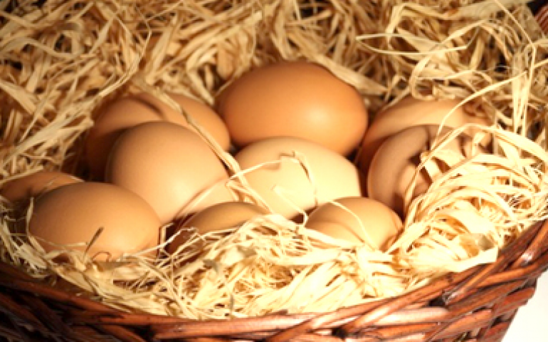 Todos os ovos numa cesta só