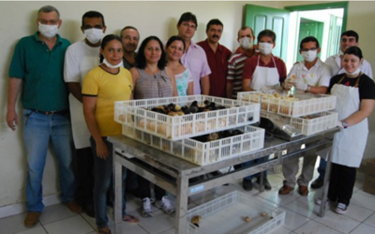 Incubadora no Acre estimula a avicultura familiar