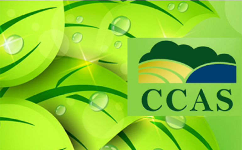 CCAS amplia comunicação e lança página no facebook 