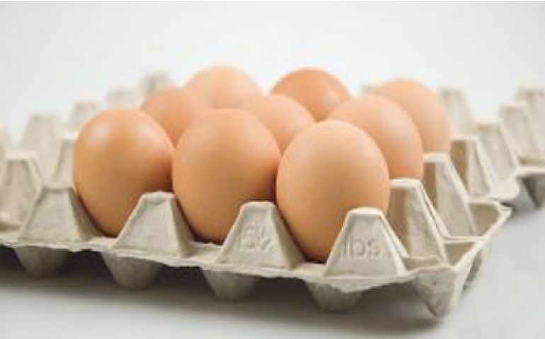 Exportação de ovos cresceu 61,2% em 2012, apontam números da Ubabef
