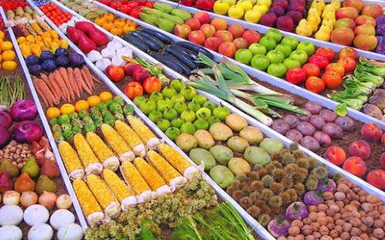 Qualidade e sustentabilidade no agronegócio