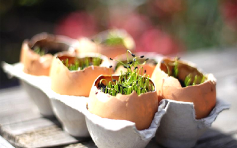 Estudo aponta crescimento do mercado interno para alimentos