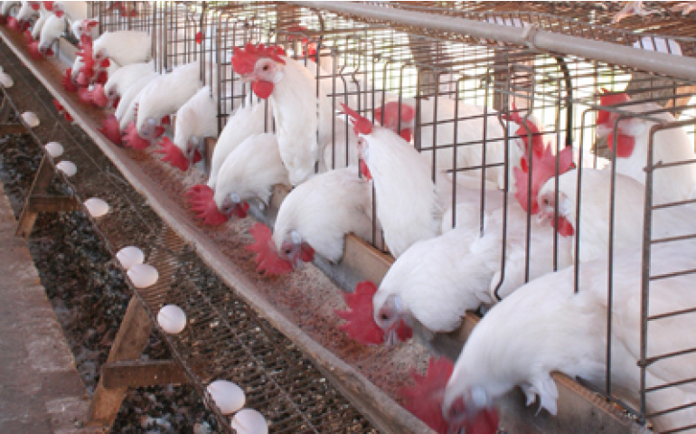 Reunião Anual do CBNA traz programação em sintonia com o mercado