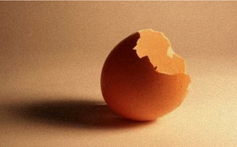 Casca de ovo pode se transformar em ingrediente para o biodiesel