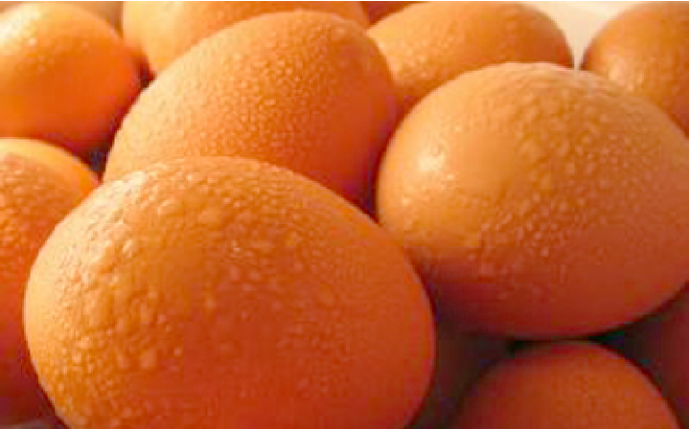 Preços dos ovos sobem pontualmente com menor oferta