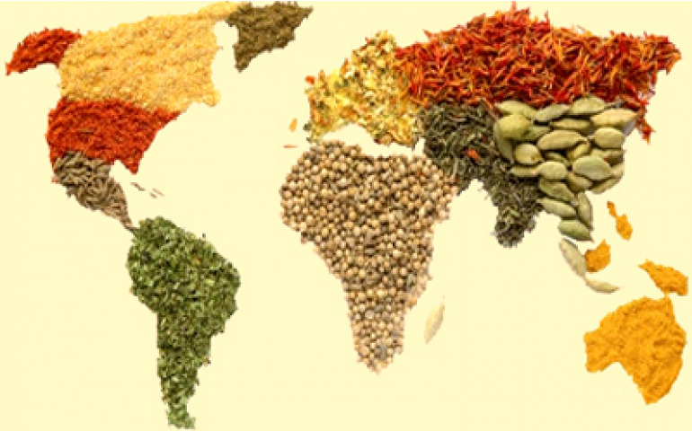 Segurança alimentar