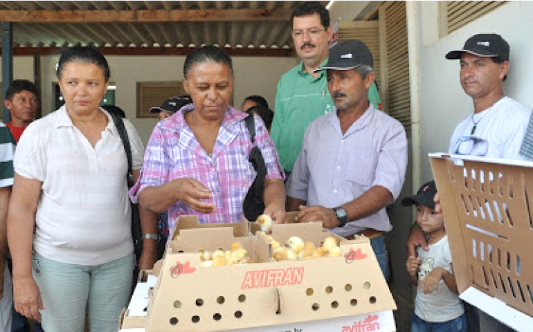 Avicultura alternativa ganha incentivos para se desenvolver na Paraíba