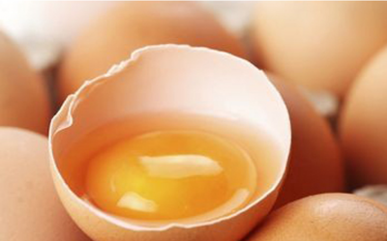 Ovo brasileiro não tem resíduos nem contaminantes