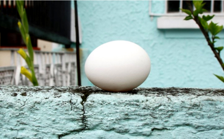 Exposição de fotógrafo brasileiro tem o ovo como inspiração