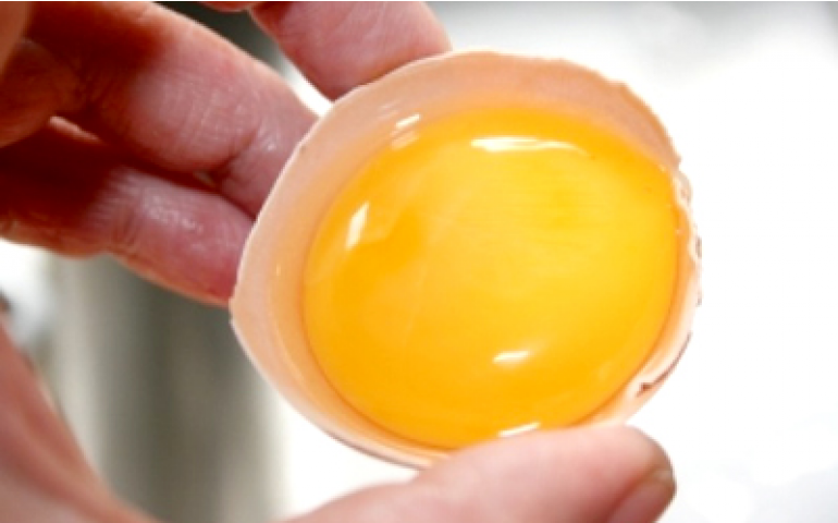 O ovo está mais nutritivo e seguro como alimento