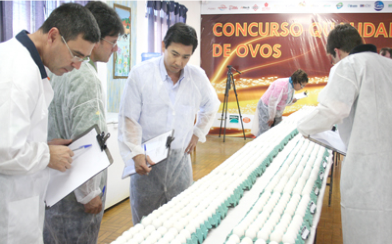 Concurso de Qualidade de Ovos de Bastos divulga regulamento deste ano