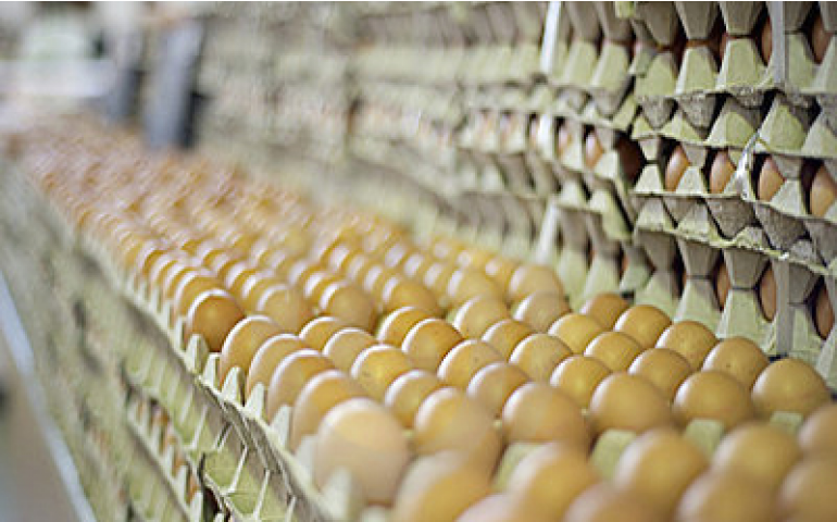 Ovo sobe 17% em cinco meses e gera impacto no interior paulista