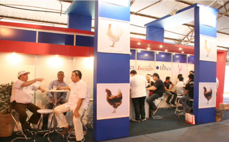 Festa do Ovo 2013 tem quase 50 empresas avícolas participando da feira