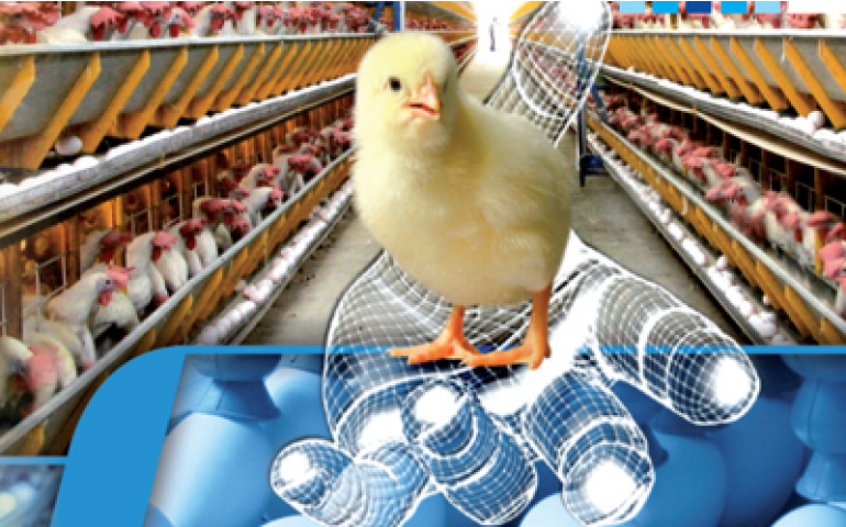 Zoetis leva Poulvac E. Coli para a Festa do Ovo 2013