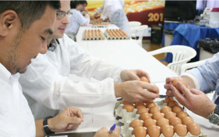 Bastos realiza hoje seu Concurso de Qualidade de Ovos 2013