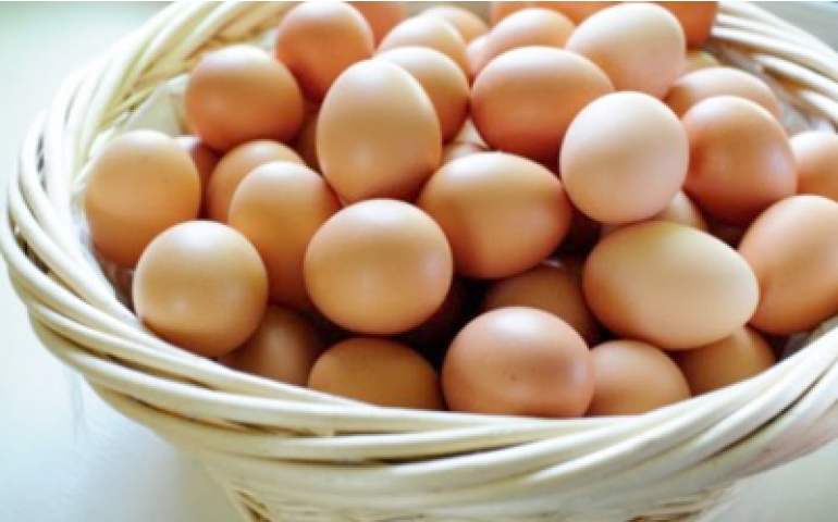 Capital do Ovo terá workshop sobre ovos caipiras e orgânicos