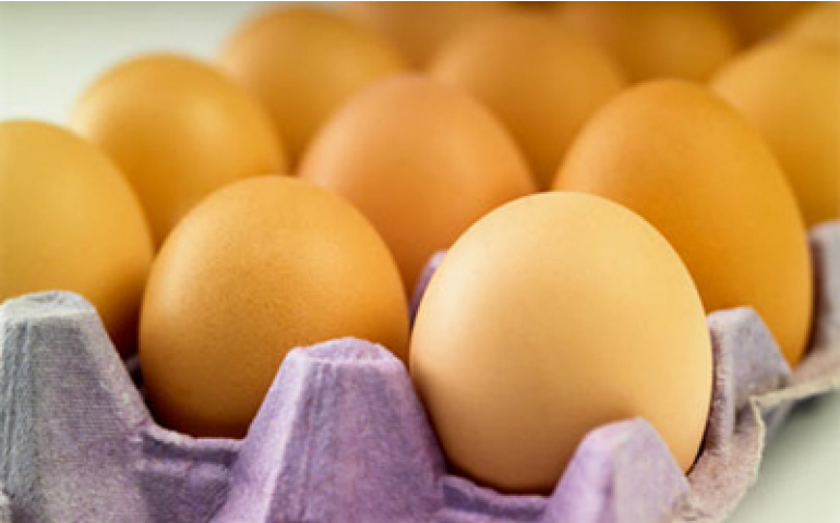 Ovos in natura continuam liderando exportação, aponta Ubabef