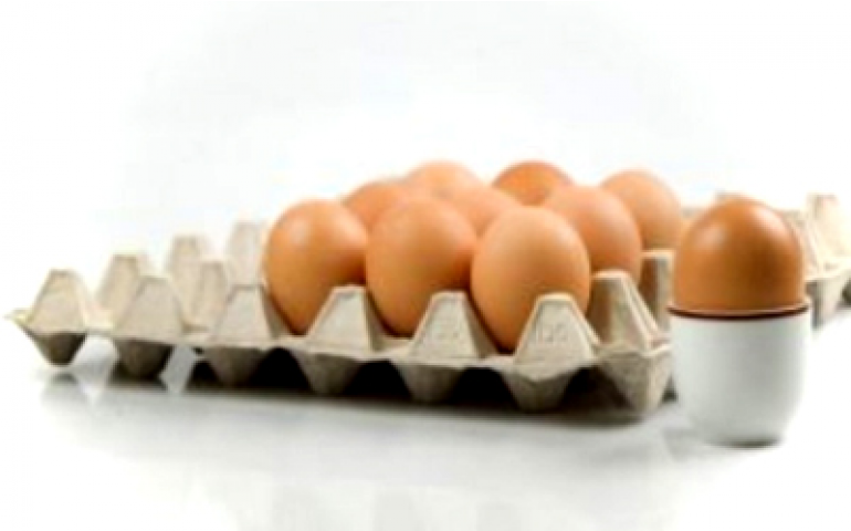 International Egg Comission e FAO estudam incremento ao ovo na África