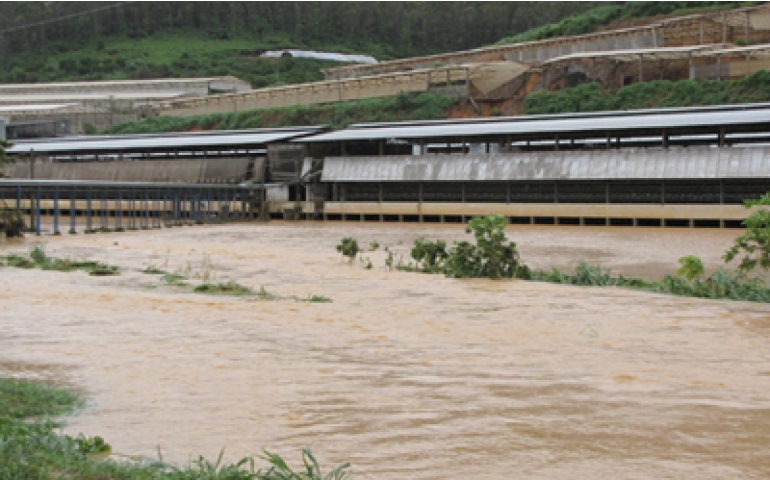 Santa Maria de Jetibá perdeu milhares de aves com enchentes