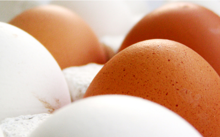 México importou 46 mil toneladas de ovo em 2013