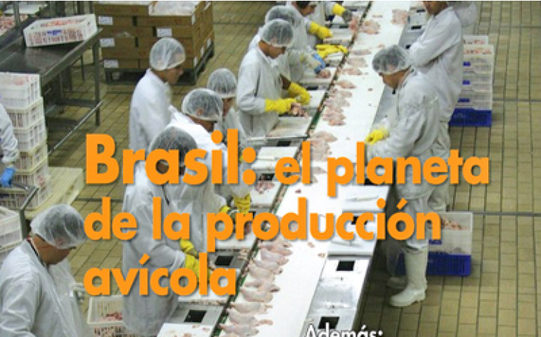 Revista internacional chama o Brasil de “planeta da produção avícola”