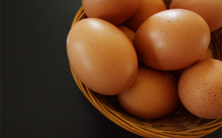 Com menor demanda, cotações do ovo recuam em janeiro