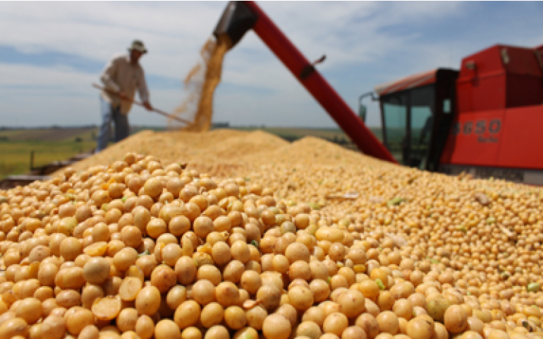 Para o campo, a Copa do Mundo já começou!