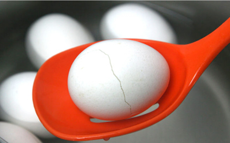 Desvalorização do ovo já chega a quase 20% 