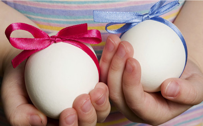 Ubabef e Ovos Brasil traçam estratégias de marketing para 2014