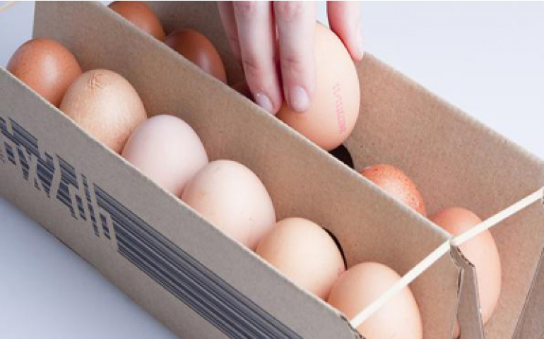 Estudante de design cria nova embalagem para ovos 