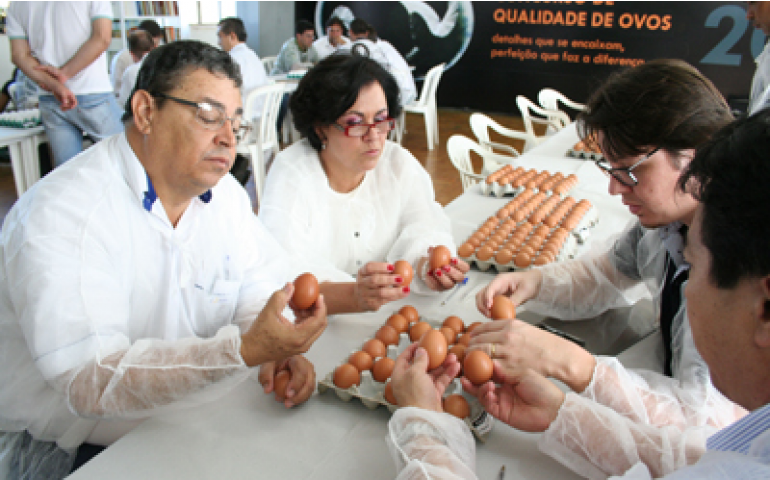 Nomeada a comissão organizadora do Concurso de Qualidade de Ovos 2014