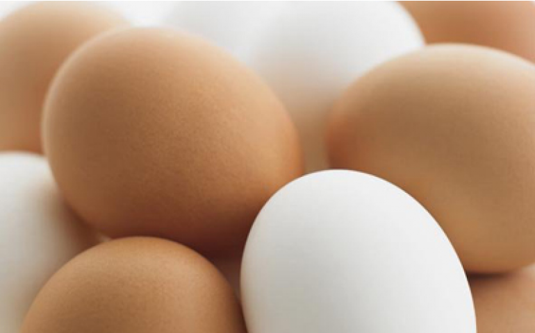 No Paraná, preço do ovo ao produtor sobe 14%