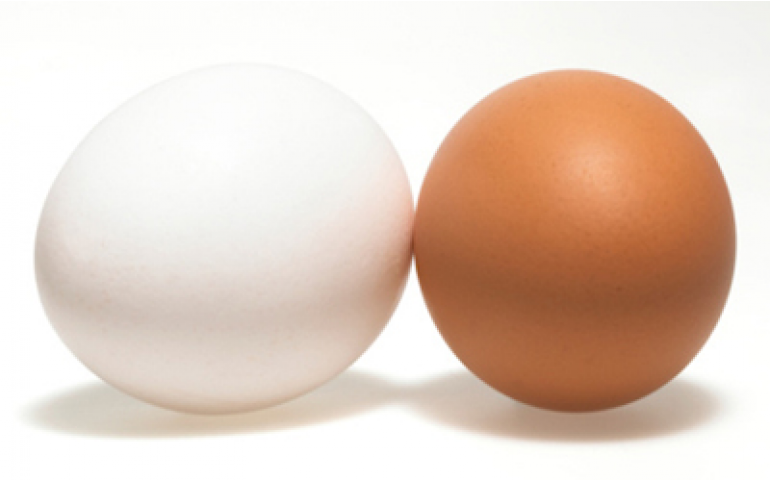 Cai índice de exportação do ovo em 2014